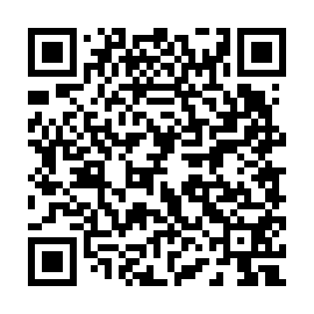 QR code for 06D650