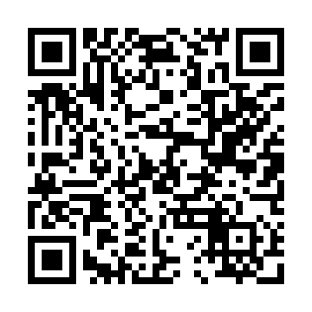 QR code for 06D950