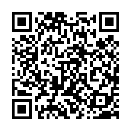 QR code for 06P419