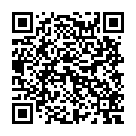 QR code for 06P509