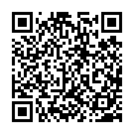 QR code for 06P600