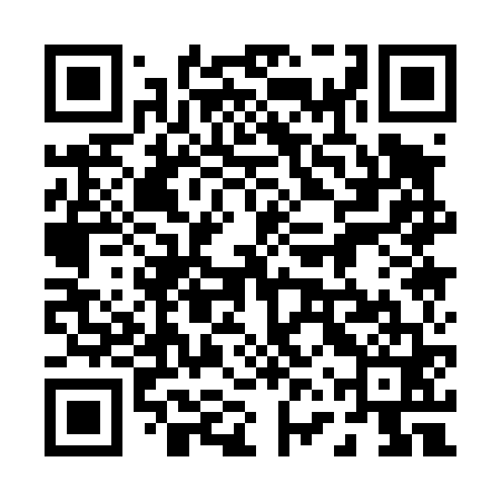 QR code for 06Q461