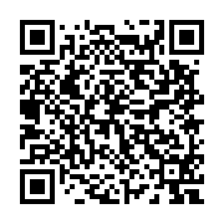 QR code for 06Q594