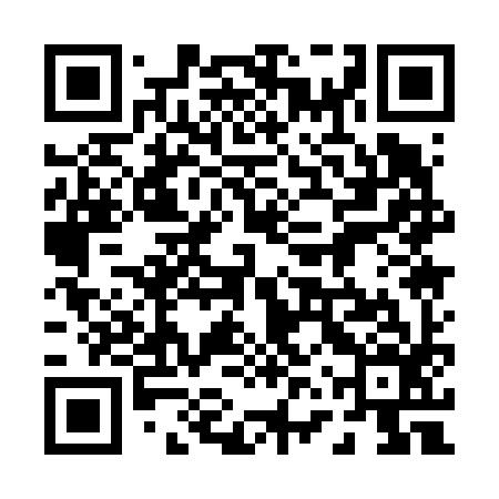 QR code for 06Q696