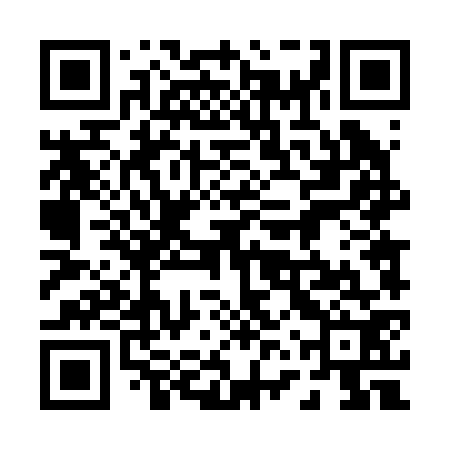QR code for 06T272