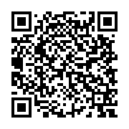QR code for 06T560