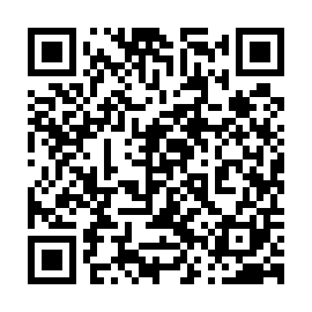 QR code for 06Y501