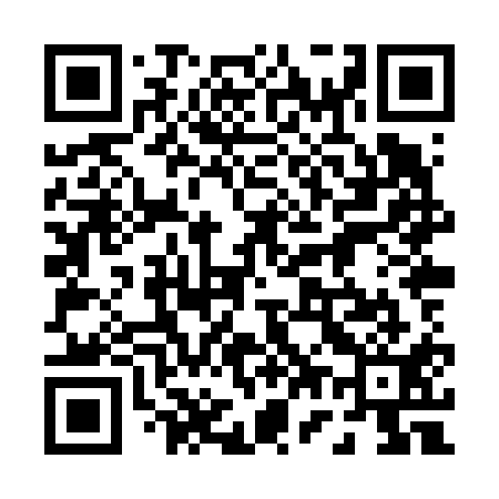 QR code for 078V11