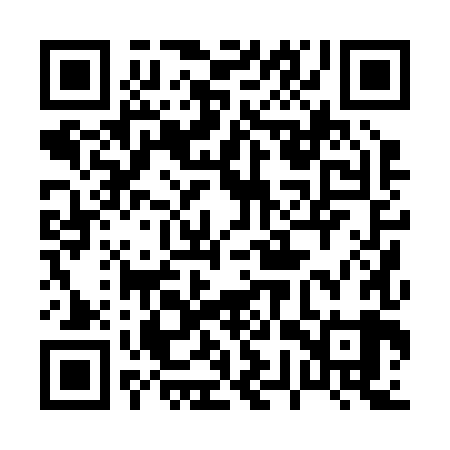 QR code for 07P289
