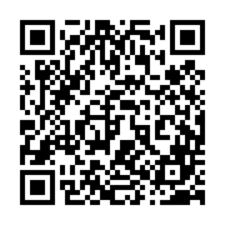 QR code for 080D46