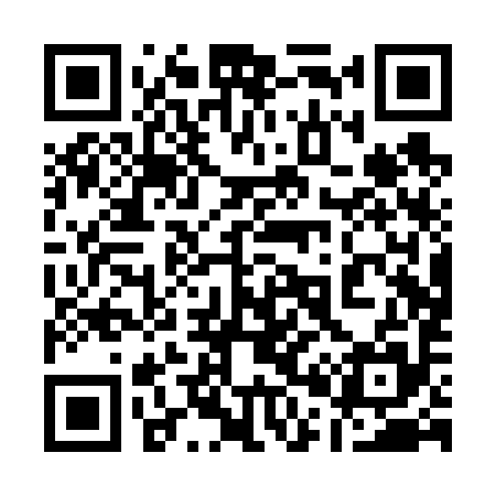 QR code for 100V95