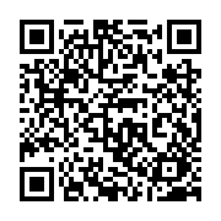 QR code for 101CZO