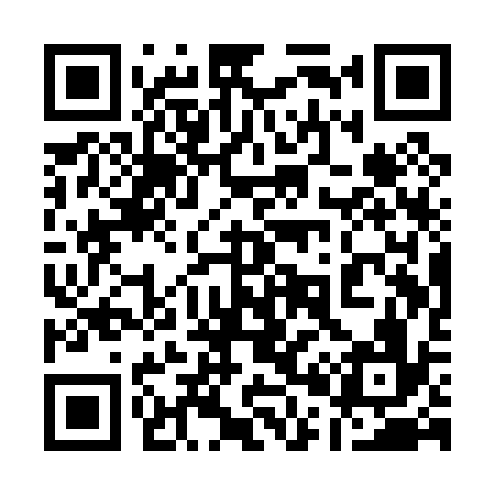 QR code for 101P36