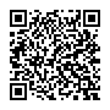 QR code for 101QQL