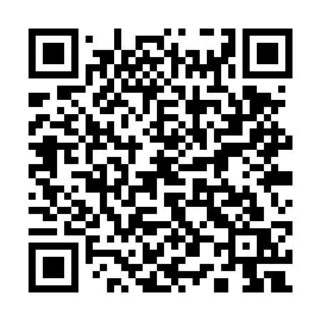 QR code for 101TSS