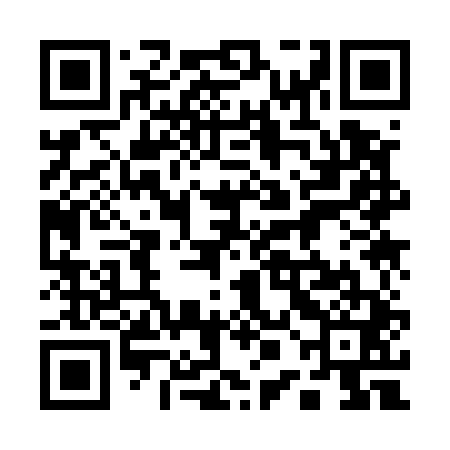 QR code for 10K541