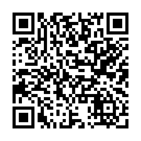 QR code for 10X395