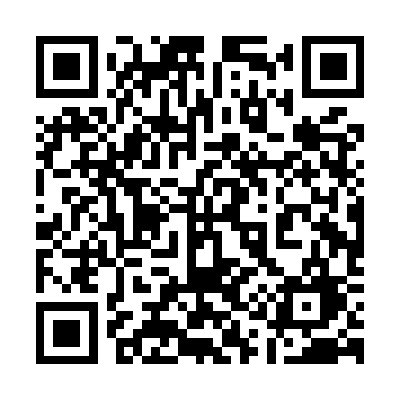 QR code for 110MSG