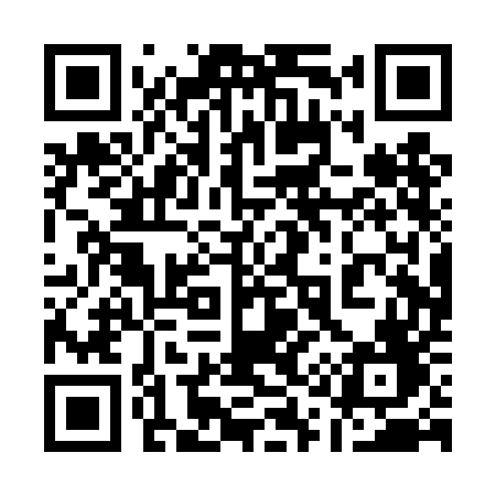 QR code for 110TEF