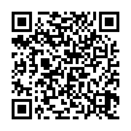 QR code for 113P28
