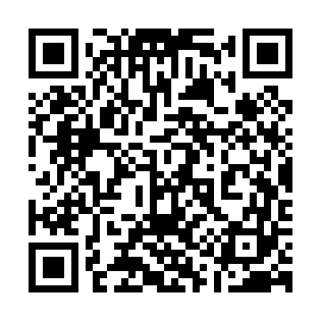 QR code for 113P63