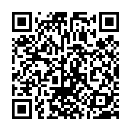 QR code for 113T29
