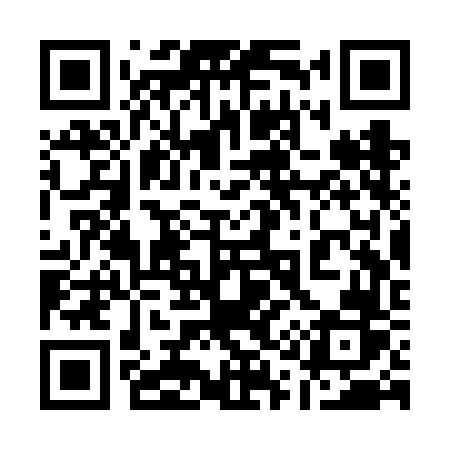 QR code for 113VFR
