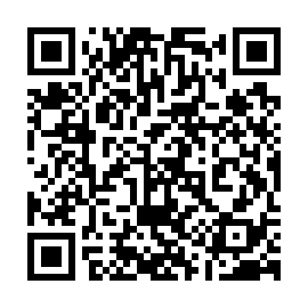 QR code for 119G38