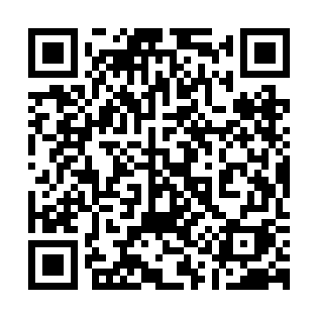QR code for 119RGI