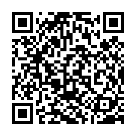QR code for 119T29