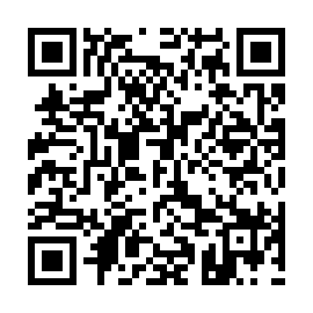 QR code for 11I399