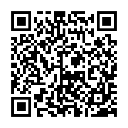 QR code for 11N397
