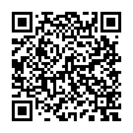 QR code for 11P159