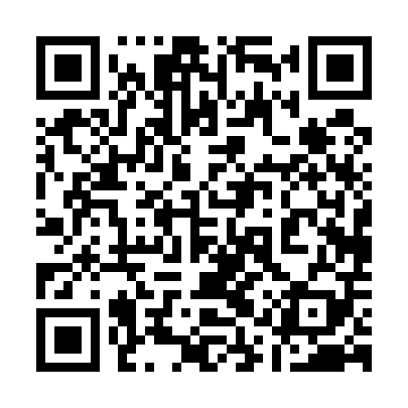 QR code for 11P509