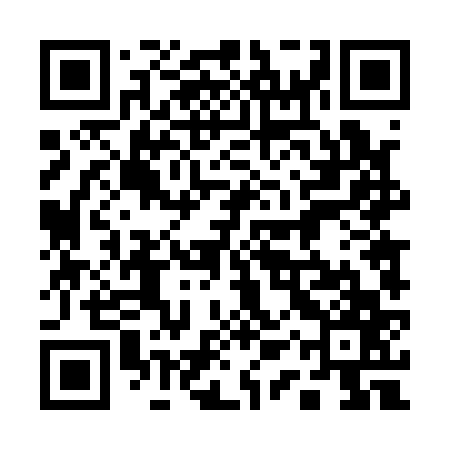 QR code for 11T167