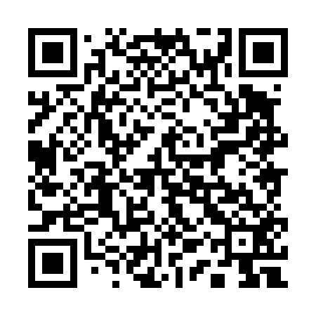 QR code for 11X452