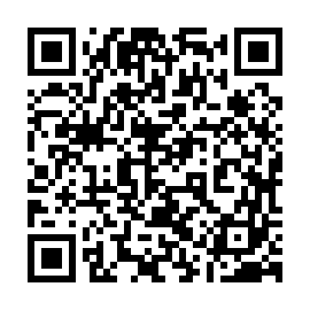 QR code for 11Z163