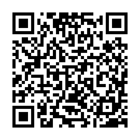QR code for 11Z295