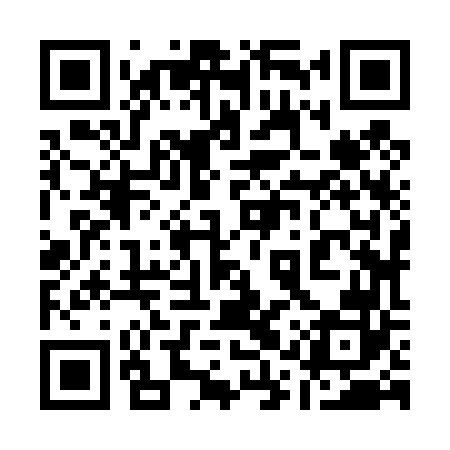 QR code for 11Z462