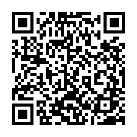 QR code for 125MNS