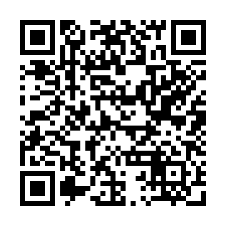 QR code for 12C381