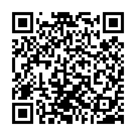 QR code for 12S419