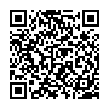QR code for 131I11
