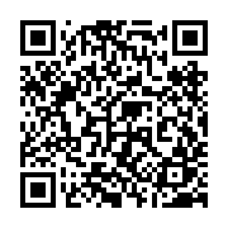 QR code for 133BIR