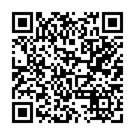 QR code for 13F387