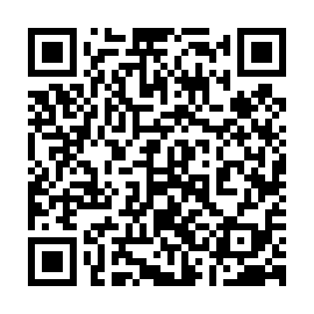 QR code for 13F419