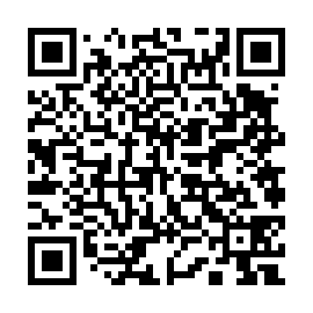 QR code for 13F438