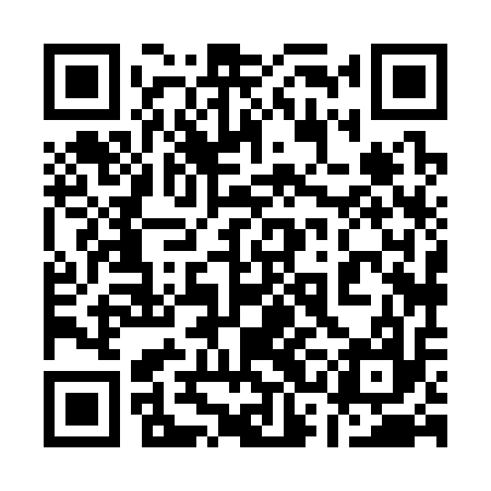 QR code for 13H317