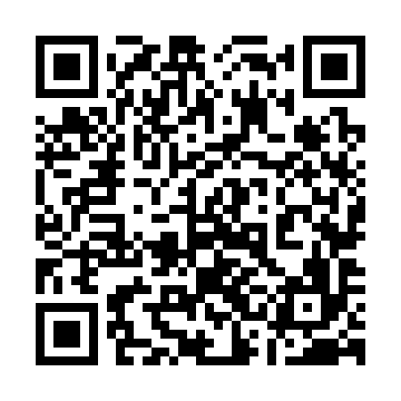 QR code for 13N396