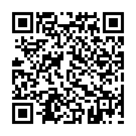 QR code for 13P263